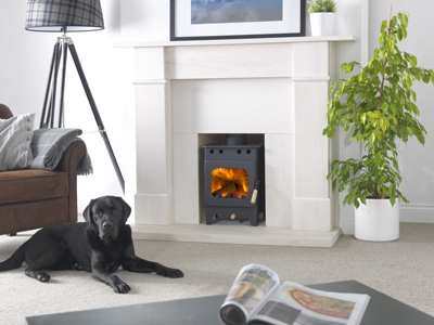 Burley Springdale 9103 Wood Burning Stove